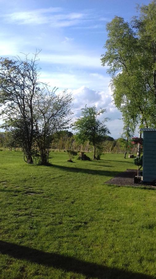 Hopgarden Glamping - Luxury 6M Bell Tent Wadhurst Екстериор снимка