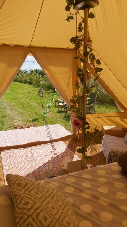 Hopgarden Glamping - Luxury 6M Bell Tent Wadhurst Екстериор снимка