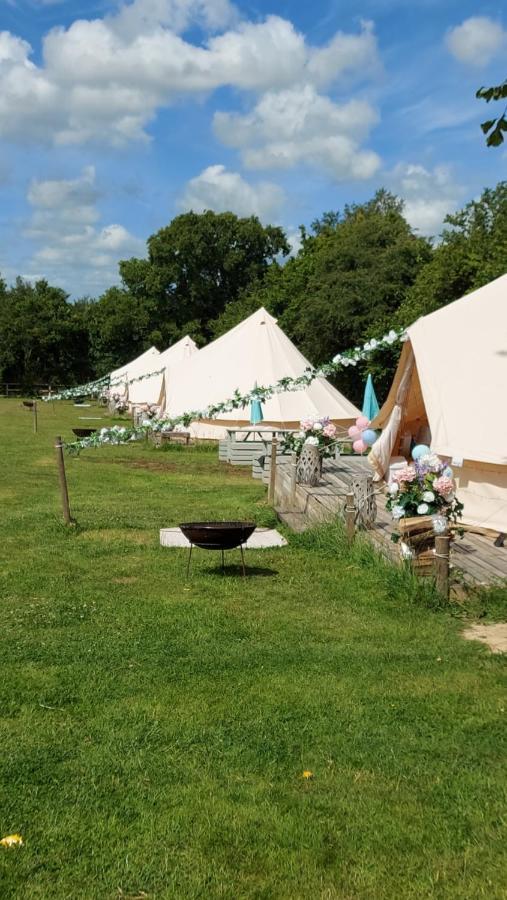Hopgarden Glamping - Luxury 6M Bell Tent Wadhurst Екстериор снимка