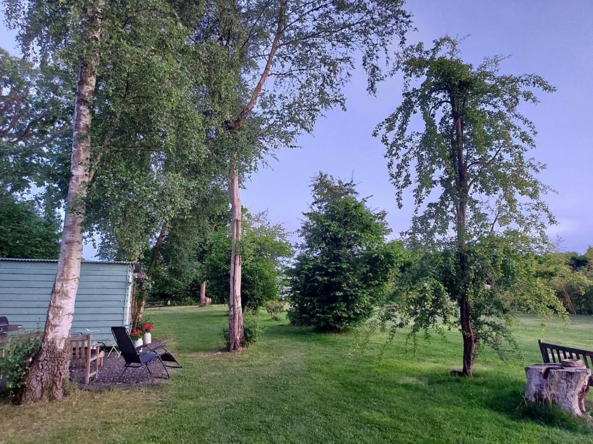 Hopgarden Glamping - Luxury 6M Bell Tent Wadhurst Екстериор снимка